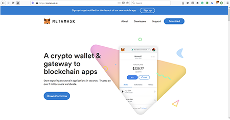 Metamask Blockchain Developer Wallet